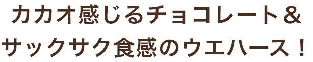 サクサクキャプション