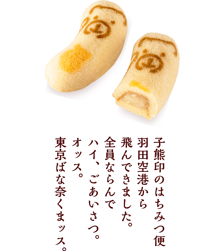 くま説明