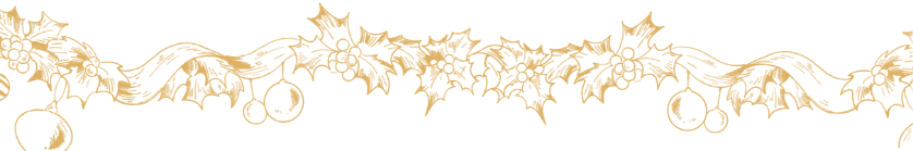 ZbgS