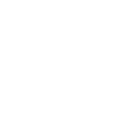 ̗΃S