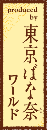 ばな奈ワールドロゴ