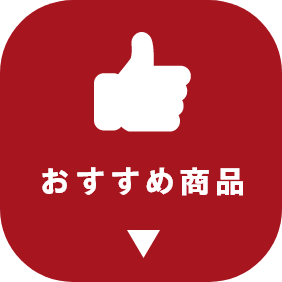 �������ߏ��i