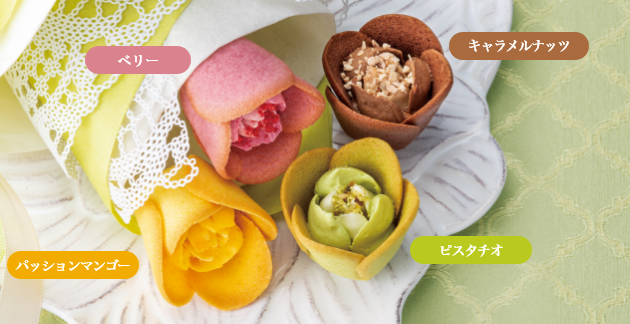 チューリップローズ ピスタチオ