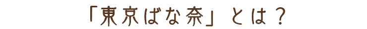 東京ばな奈とは?