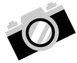 カメライラスト