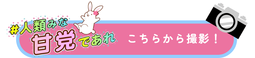 �t�B���^�[�J����