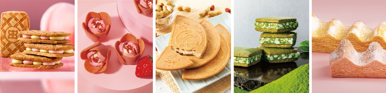 2026初夏 店長おすすめセット