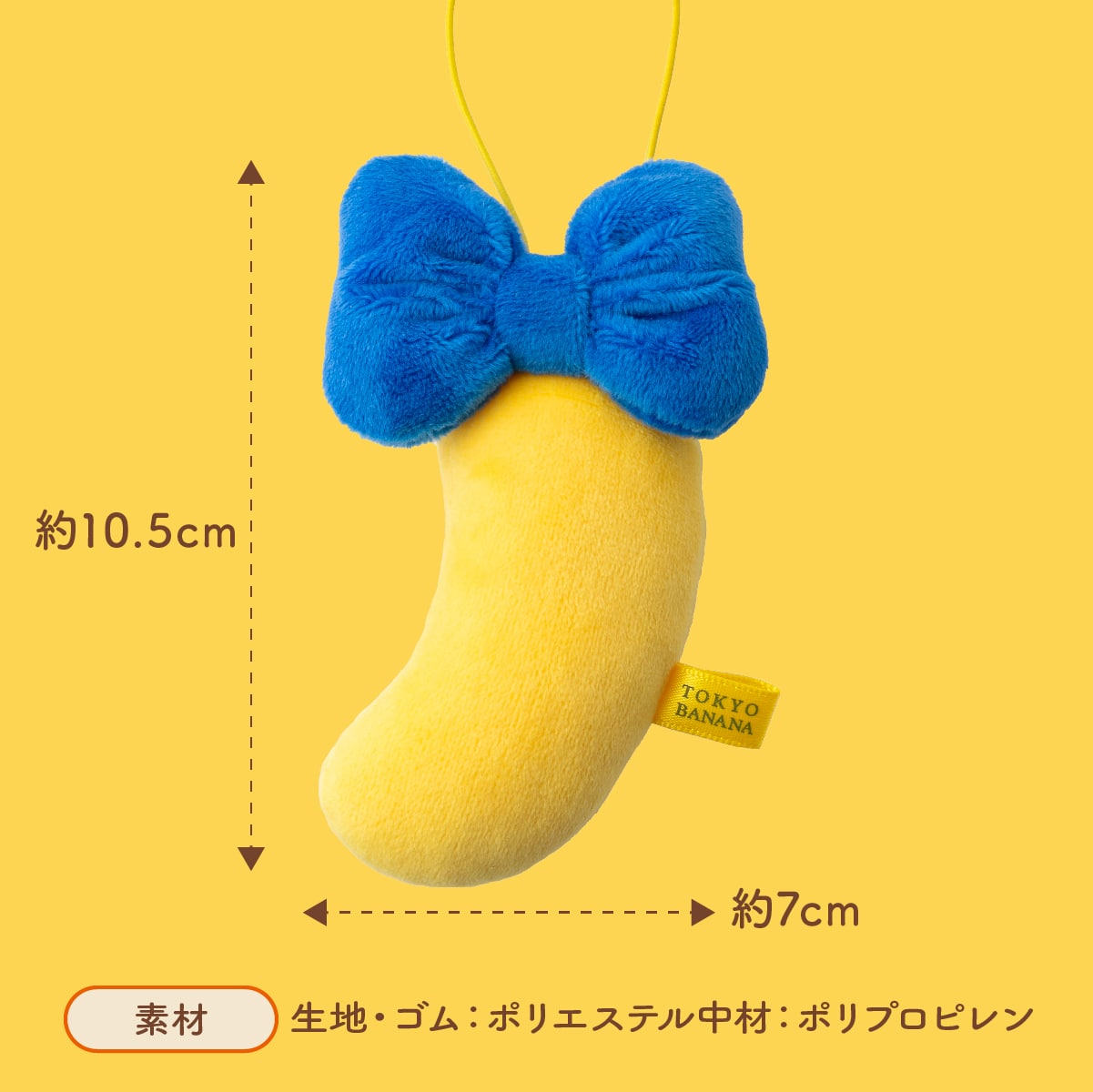 サイズ