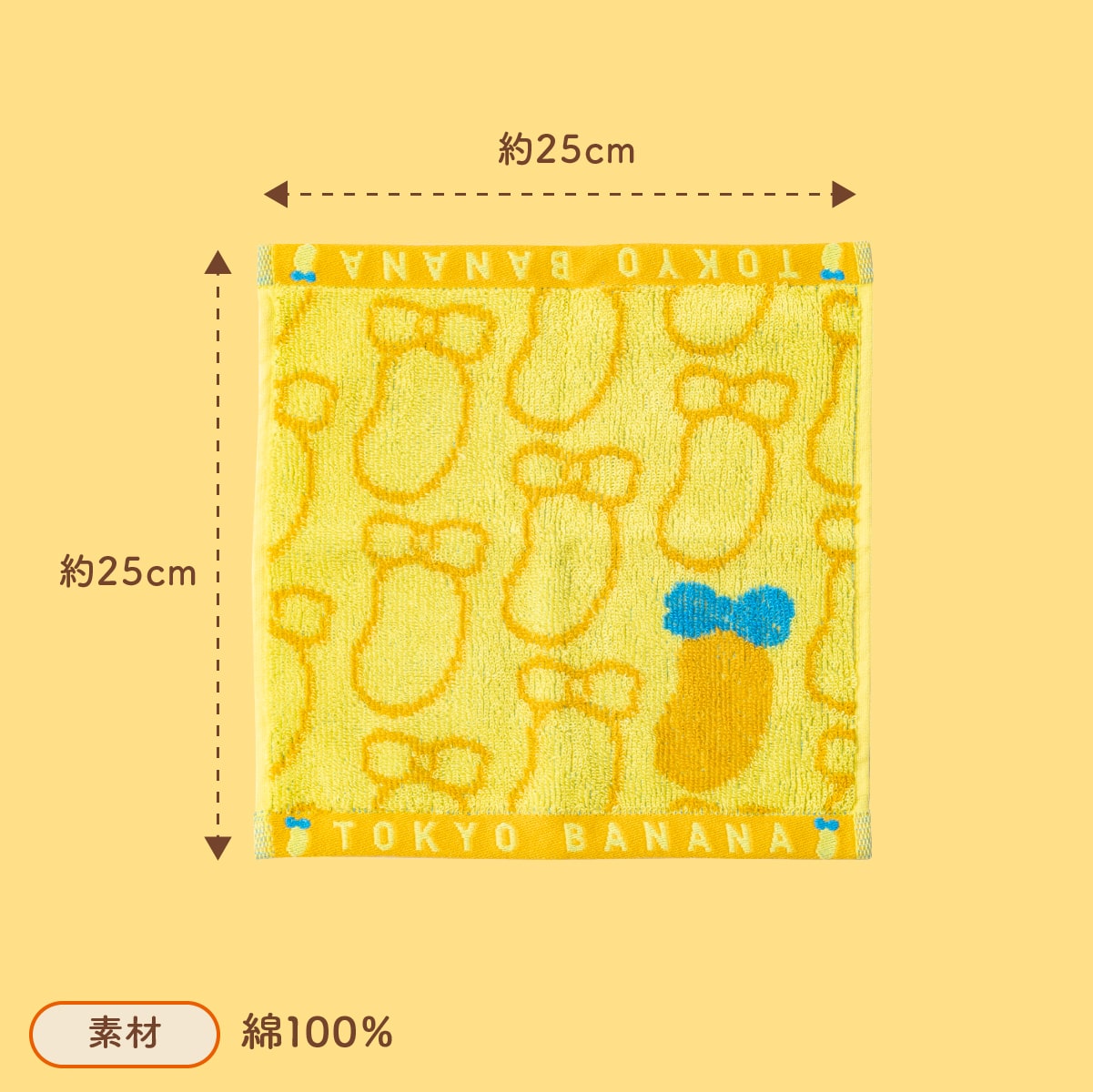 サイズ