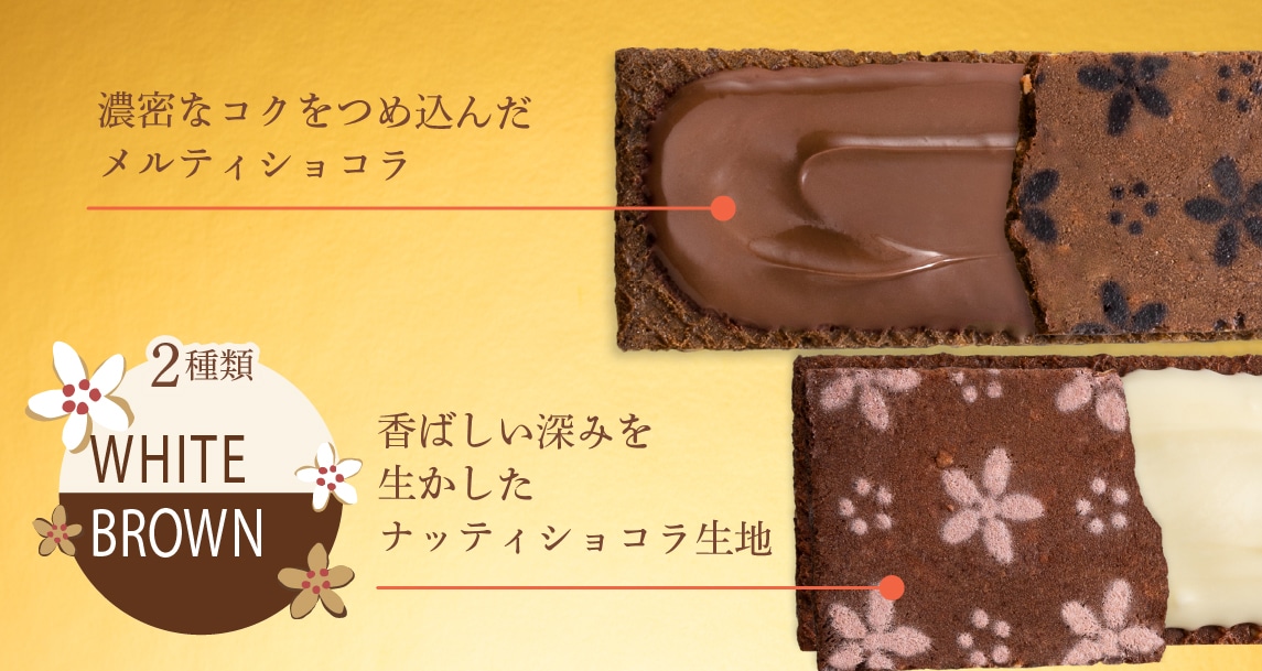 マドレーヌ味説