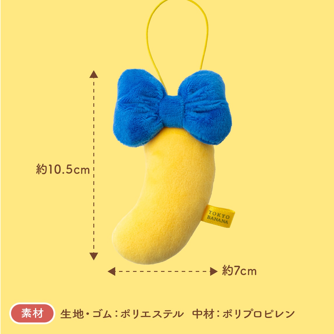 サイズ