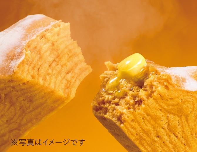 Gߊ鑡蕨