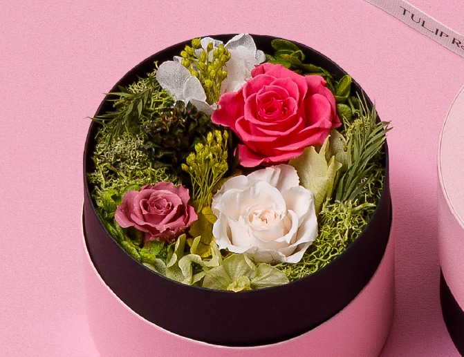 �o�����^�C���̃M�t�g�ɂ�������