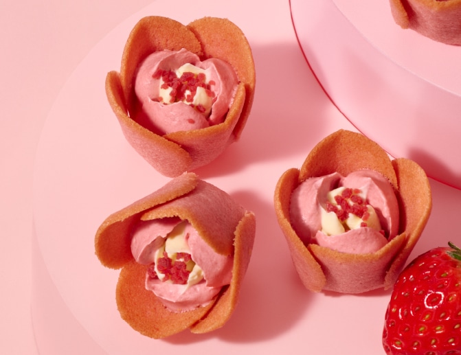 �q�`���[���b�v���[�Y�r�̖��͂��y���߂�