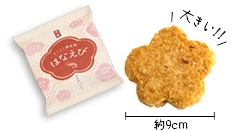 はなえびイメージ