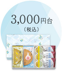 3,000円台（税込）