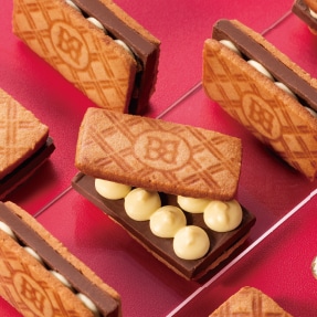 �o�^�[�z�C�b�v�V���R���T���h