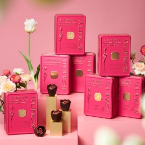 �`���[���b�v���[�Y �V���R���E�t���R�[�X