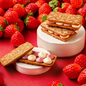 �������o�^�[�z�C�b�v�T���h