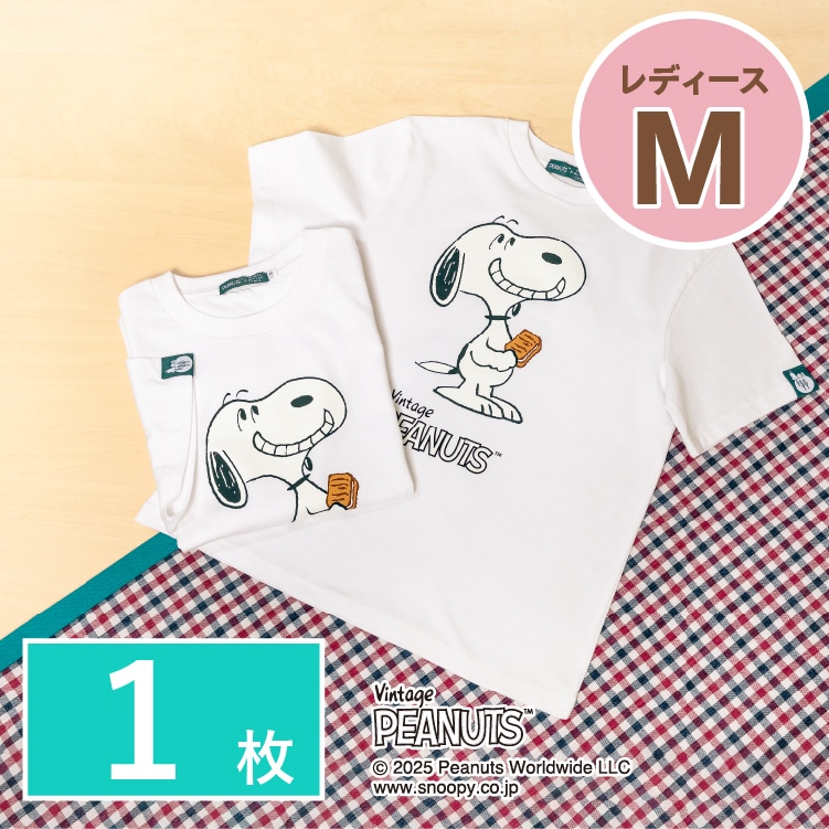Xk[s[ VK[o^[̖؁@TVc fB[XMTCY