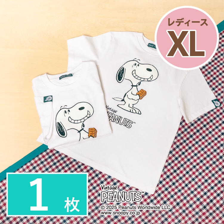 Xk[s[ VK[o^[̖؁@TVc fB[XXLTCY