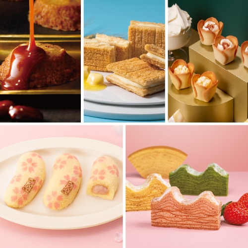 2026�t �X���C�`�I�V�Z�b�g