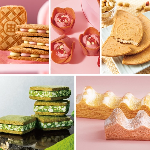 2026���� �X���������߃Z�b�g