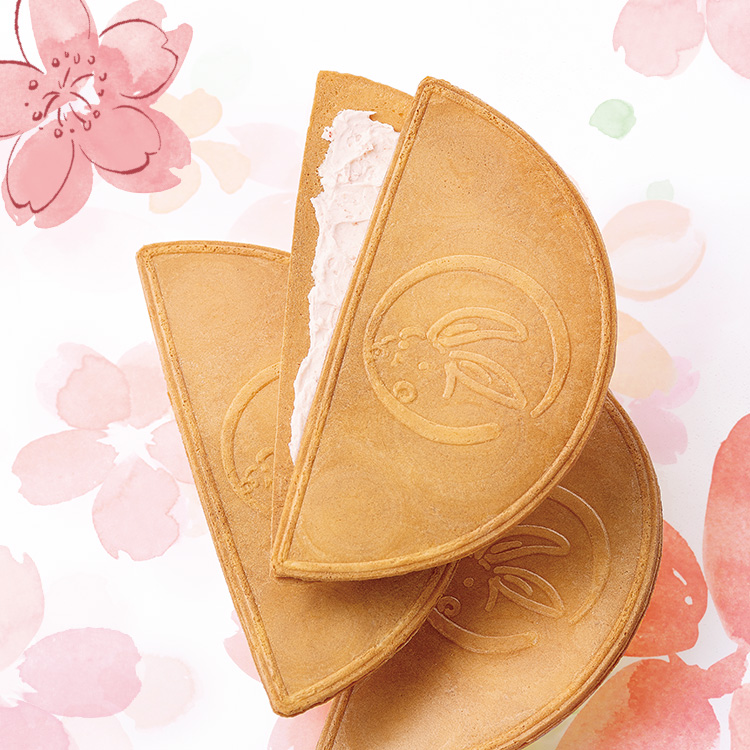 ���q�����璃����