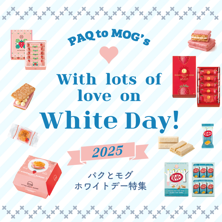 こや丸 様 専用ページです】物語セット （グレープストーン公式 